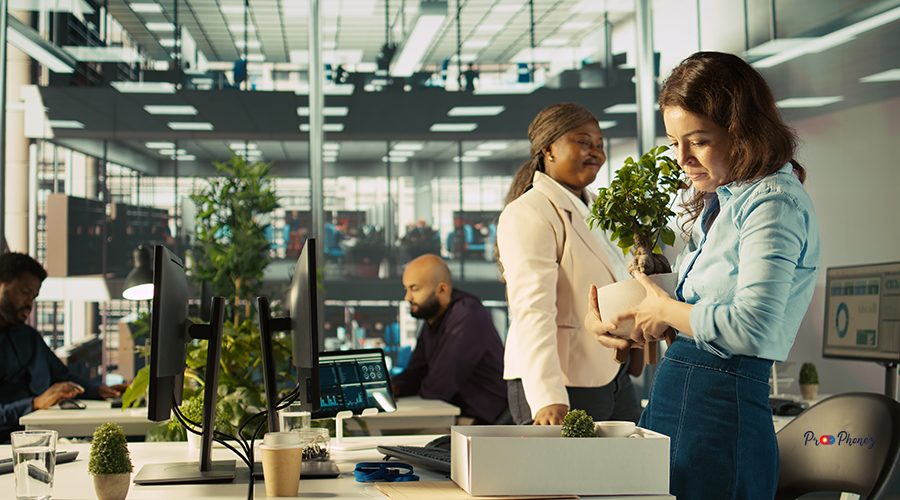 Employee getting consoled by colleagues after being fired, leaving office. Worker holding box filled with desk plants saying goodbye to coworkers after being laid off, camera B