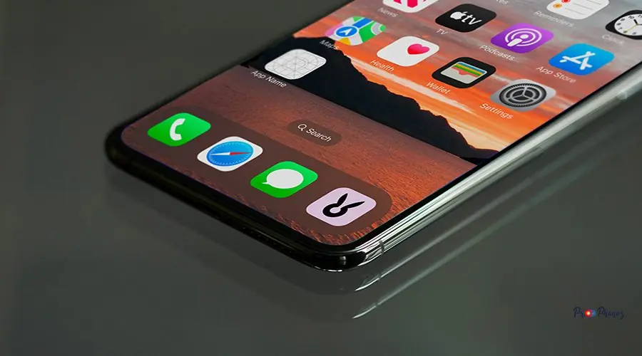 flure-bunny-8Ao9ADKBcpU-unsplash flure-bunny-8Ao9ADKBcpU-unsplash
