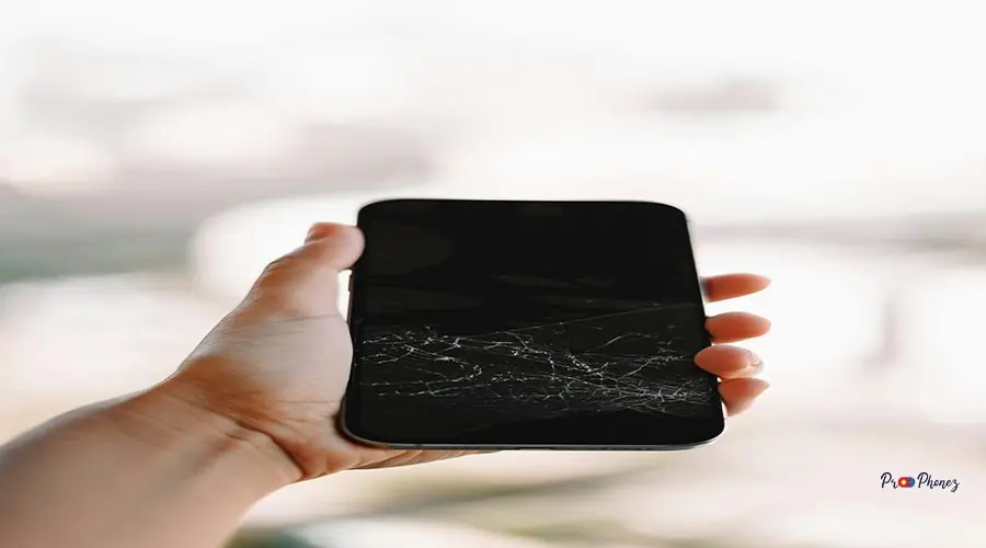 lala-azizli-9Z4DEXpKtTs-unsplash lala-azizli-9Z4DEXpKtTs-unsplash